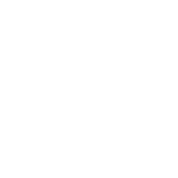US0378331005 Logo